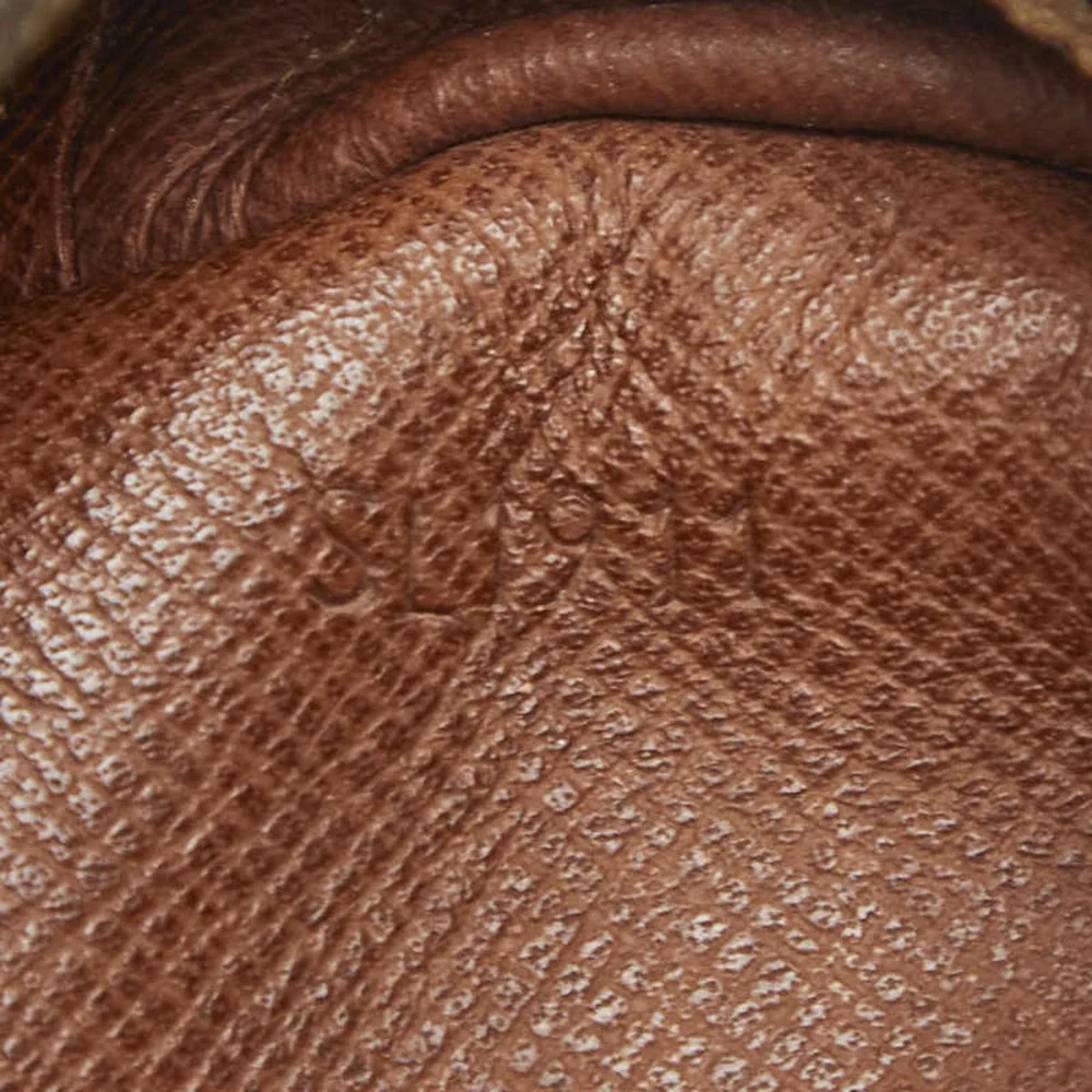 LOUIS VUITTON Brown Monogram Leather Bag